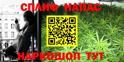 Альфа ПВП Краснознаменск
