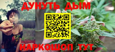 сатива Краснодар