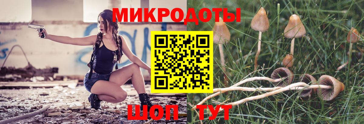 Псилоцибиновые грибы Psilocybine cubensis  Вход с VPN  Галлюциногенные грибы Psilocybe  Зима 